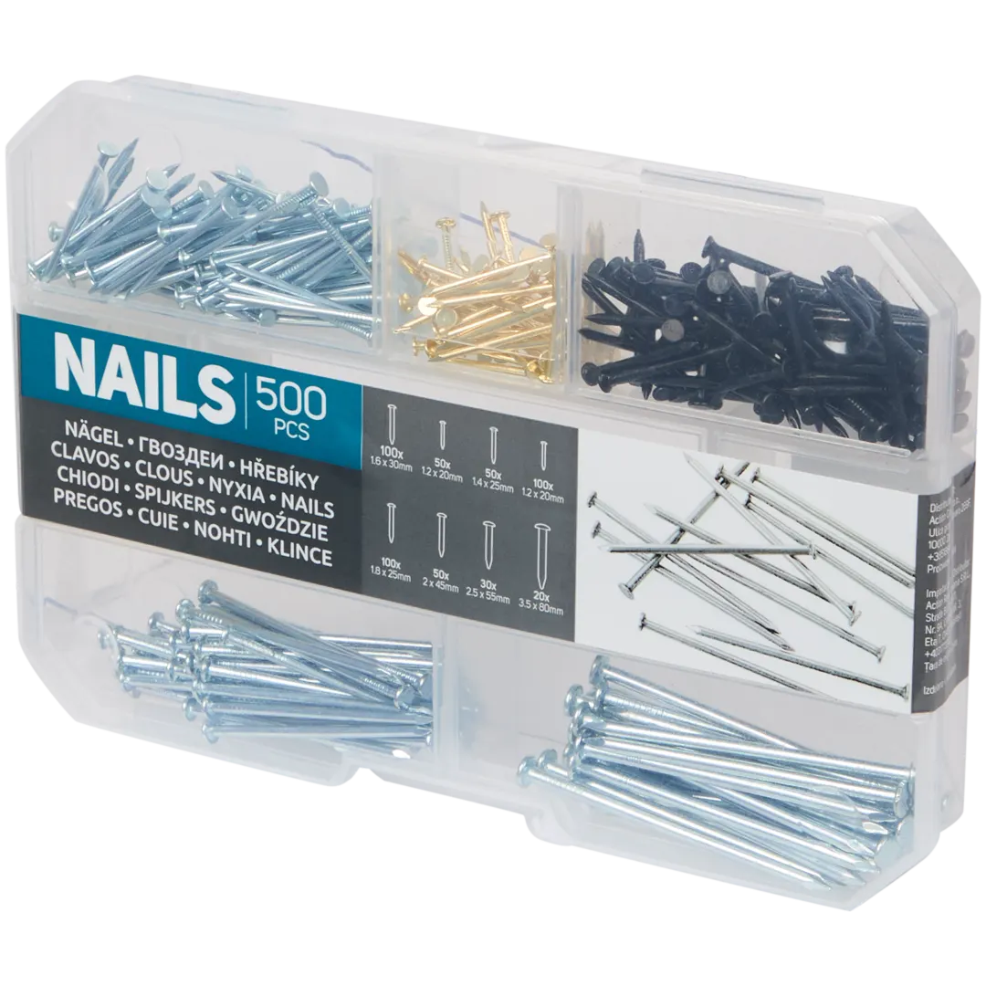 Assortiment de clous divers – 500 pièces avec boîte de rangement